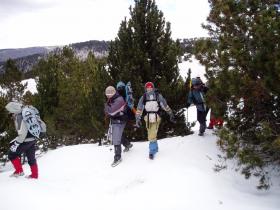 photo coins arrondis